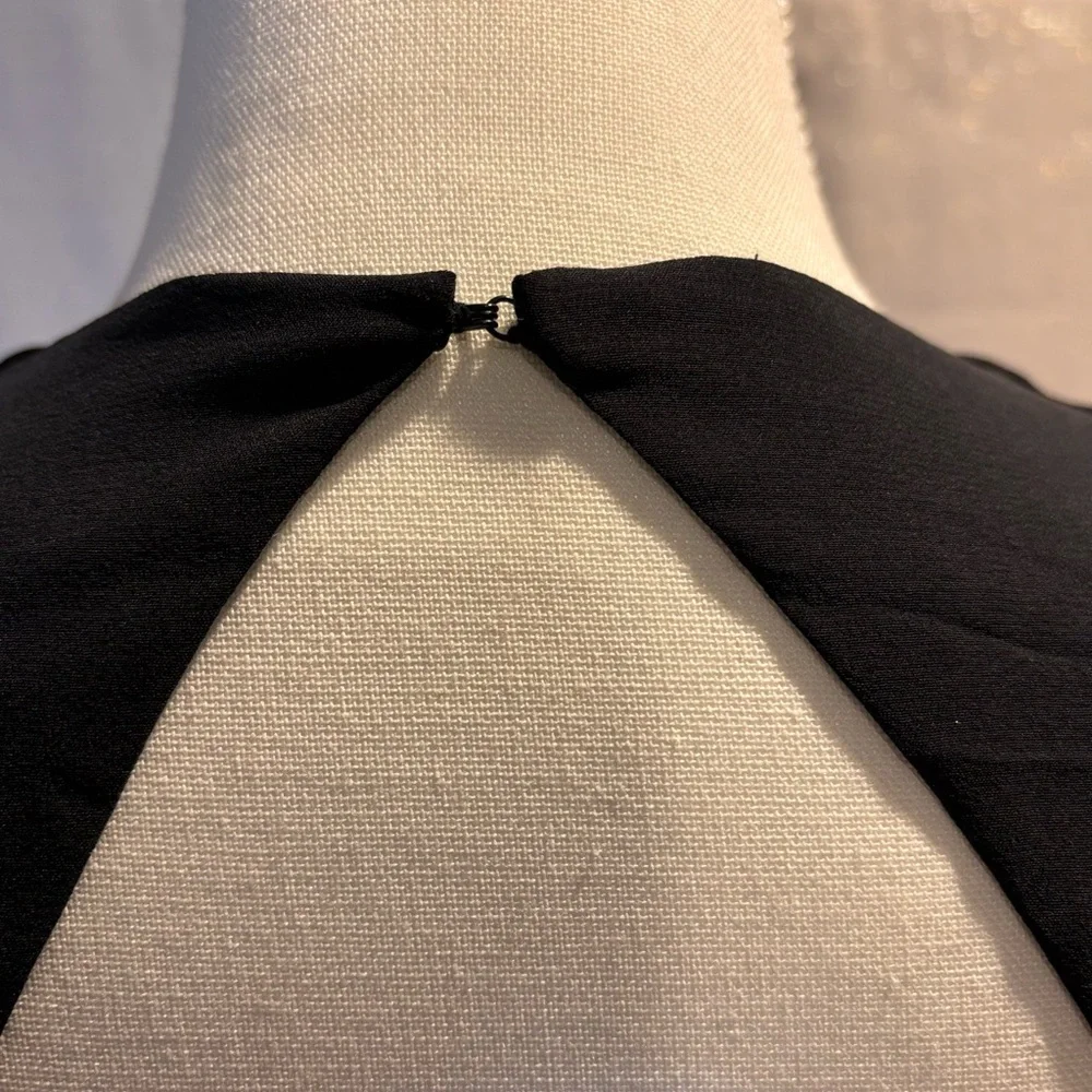 Rachel Zoe Amara Evening Gown Elegant Black Sleeveless Gown 8 NWT Black Tie New! - Picture 8 of 11